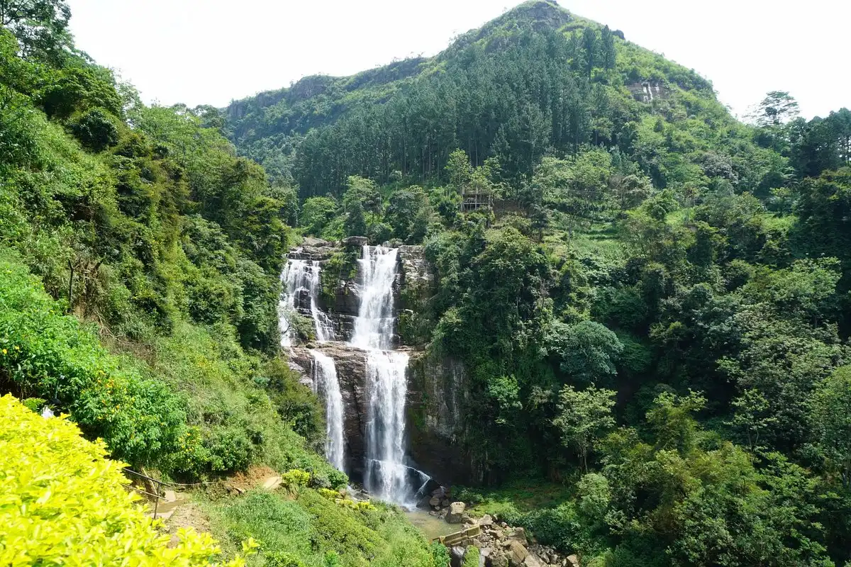 Ramboda Falls dropping through forest beside the hill-country road