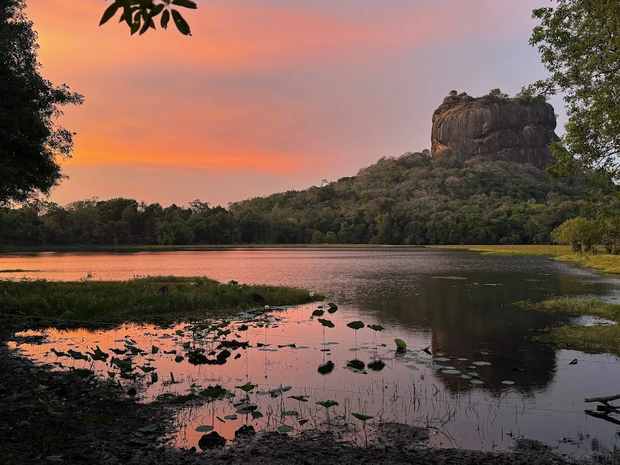 Sigiriya rock above the treeline at sunset, reflected in the lily-covered tank below